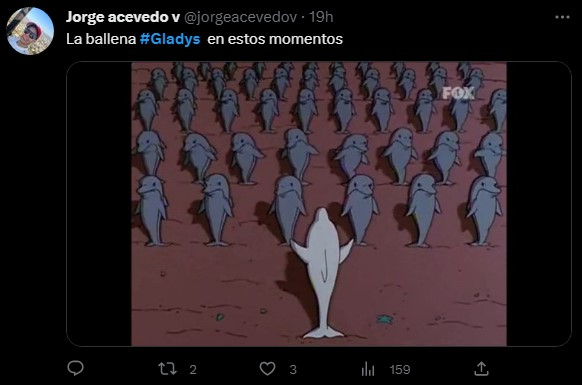 Los mejores memes de Gladis la líder de la revolución de las orcas