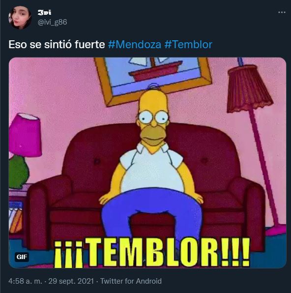 Además Del Susto Los Memes Sacudieron Las Redes Tras El Temblor En